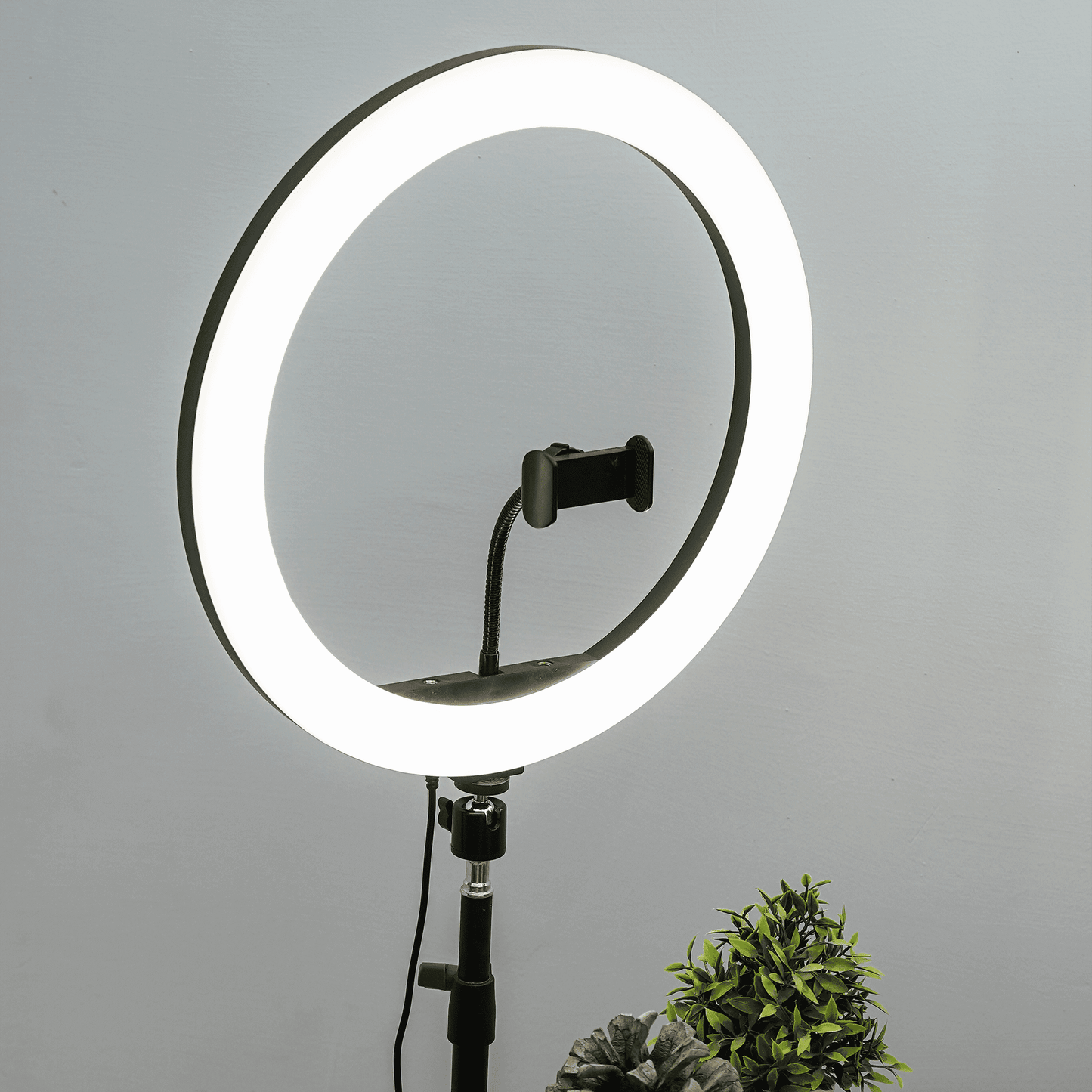 IZI LIGHT 16" Ring Light - 10 Dual & 15 RGB colors, 360